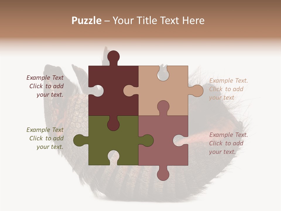 Species Isolated On White Tail PowerPoint Template