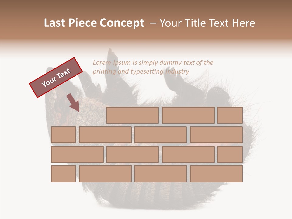 Species Isolated On White Tail PowerPoint Template