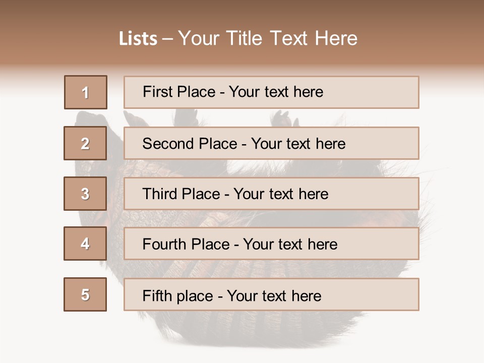 Species Isolated On White Tail PowerPoint Template