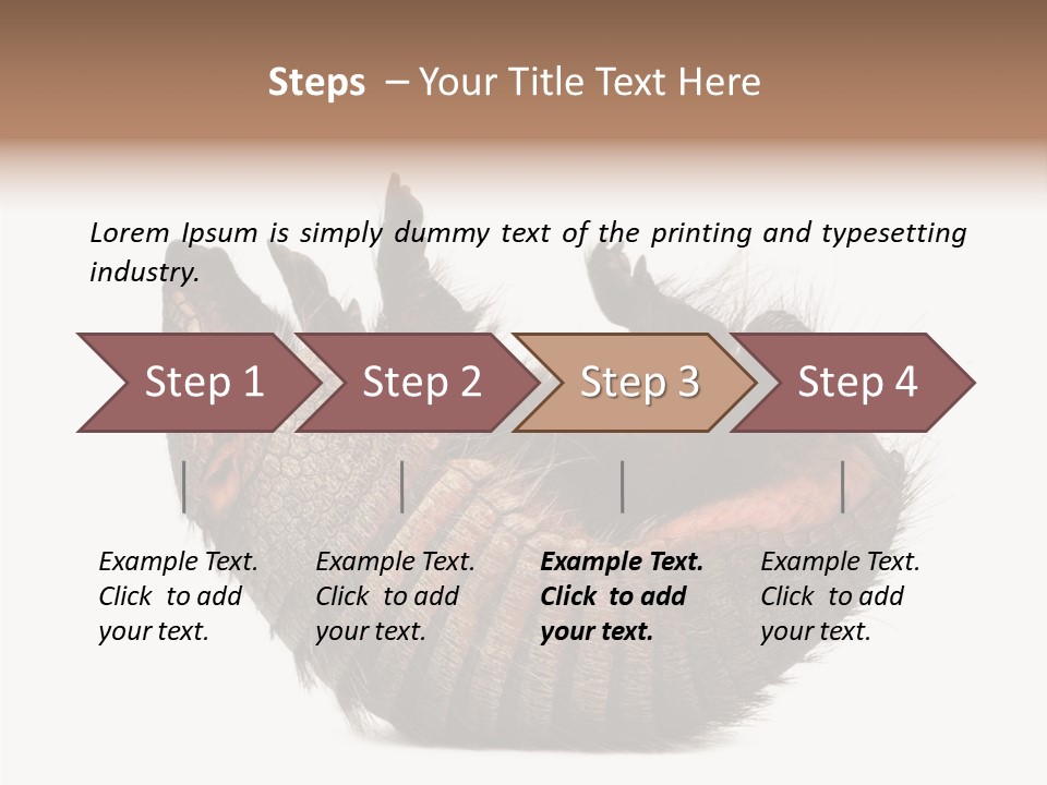 Species Isolated On White Tail PowerPoint Template