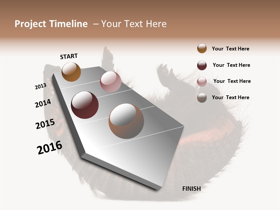 Species Isolated On White Tail PowerPoint Template