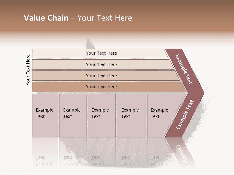 Species Isolated On White Tail PowerPoint Template