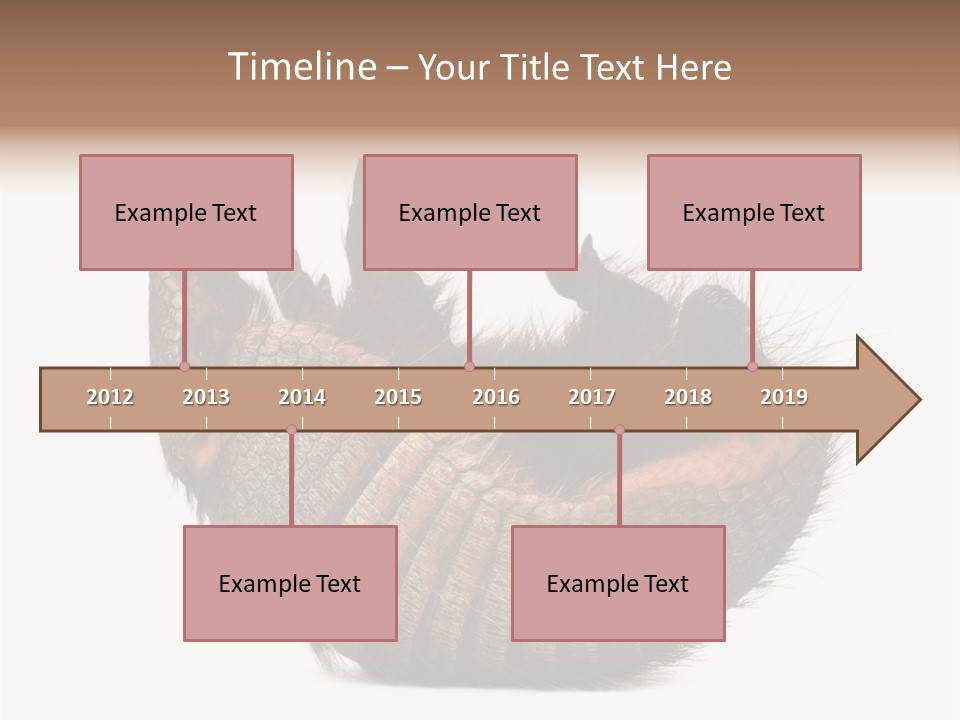 Species Isolated On White Tail PowerPoint Template
