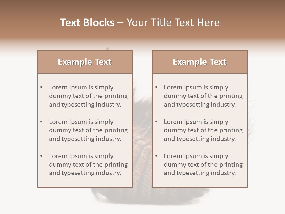 Species Isolated On White Tail PowerPoint Template