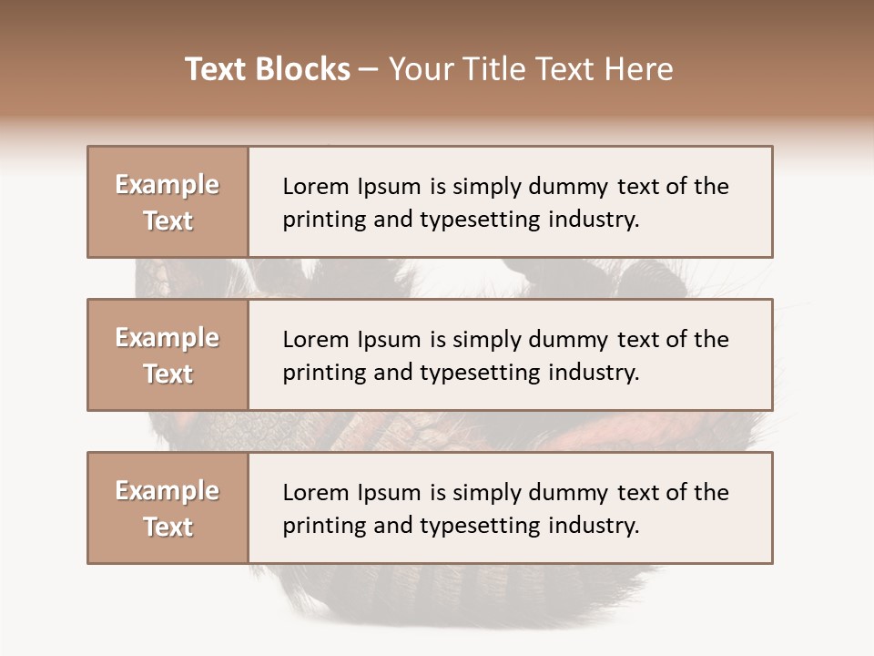 Species Isolated On White Tail PowerPoint Template