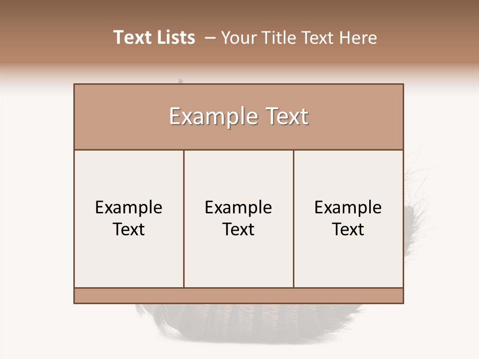 Species Isolated On White Tail PowerPoint Template