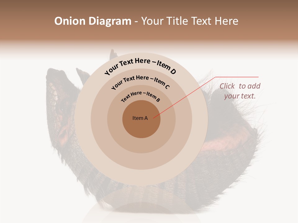 Species Isolated On White Tail PowerPoint Template