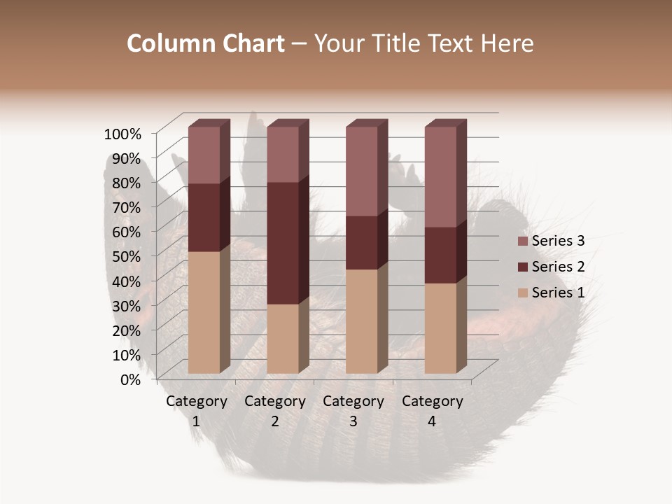 Species Isolated On White Tail PowerPoint Template
