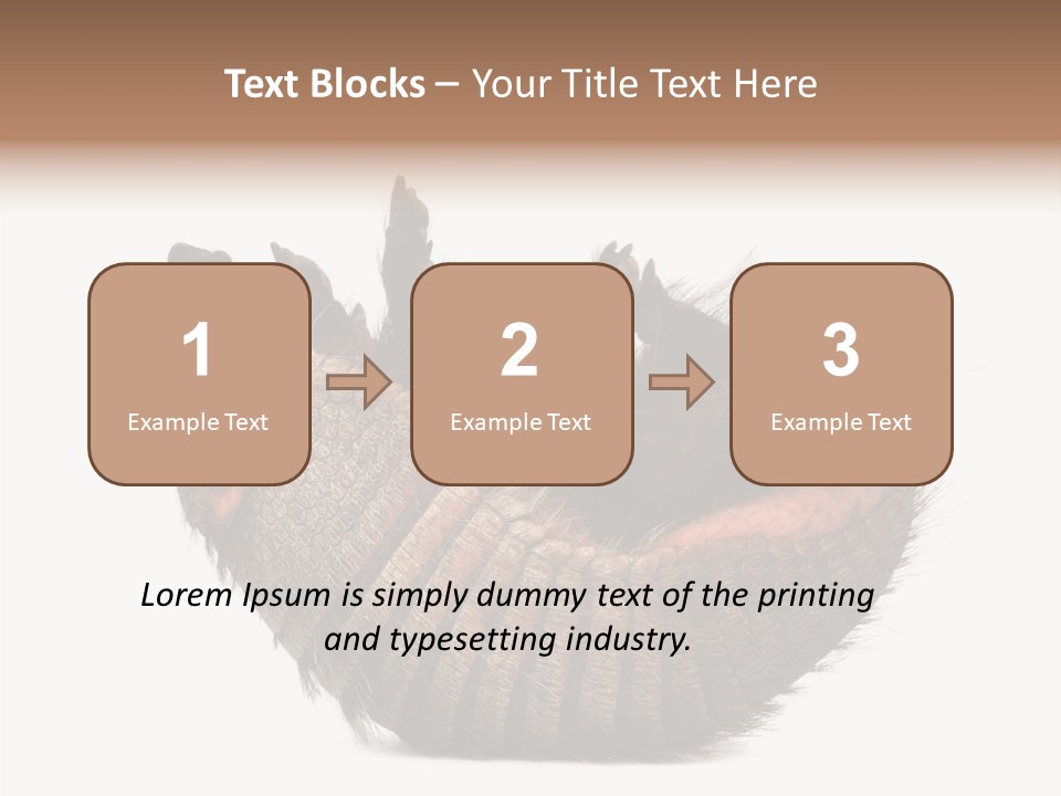 Species Isolated On White Tail PowerPoint Template