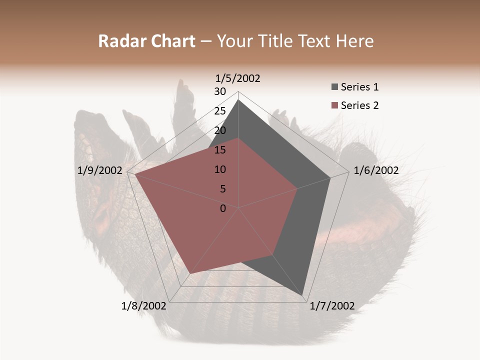 Species Isolated On White Tail PowerPoint Template