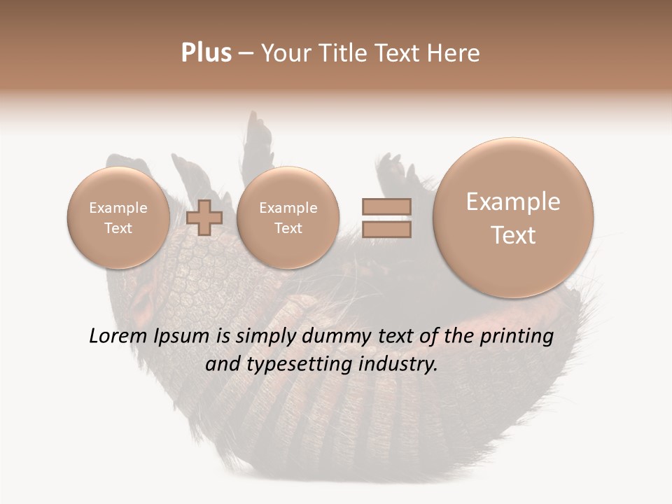 Species Isolated On White Tail PowerPoint Template