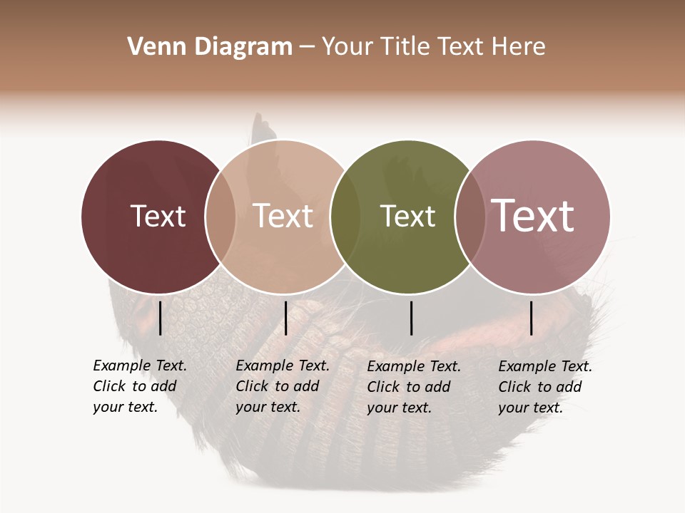 Species Isolated On White Tail PowerPoint Template