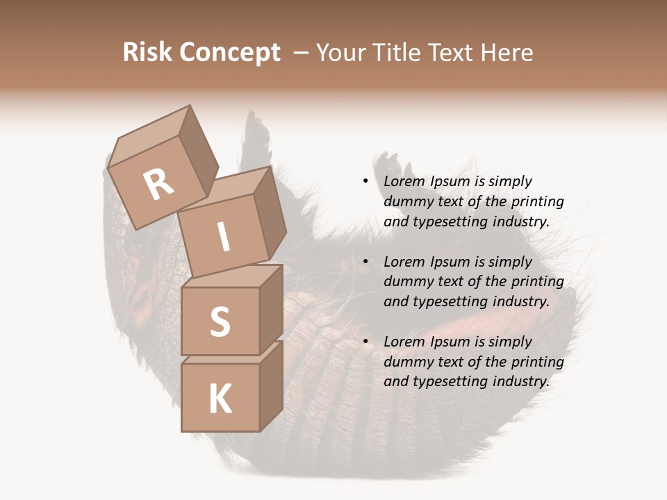 Species Isolated On White Tail PowerPoint Template