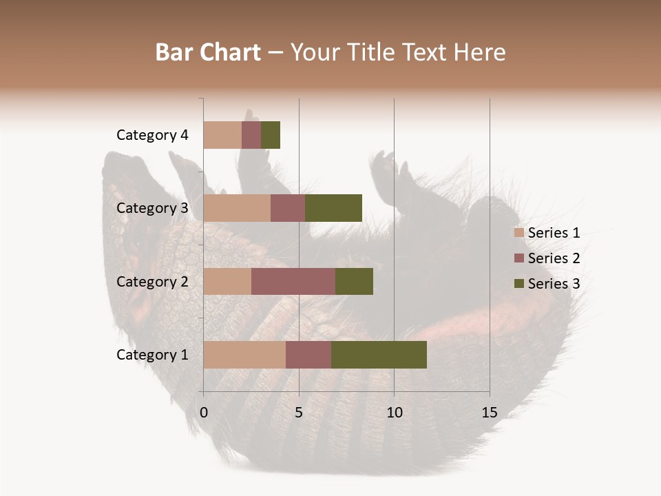 Species Isolated On White Tail PowerPoint Template