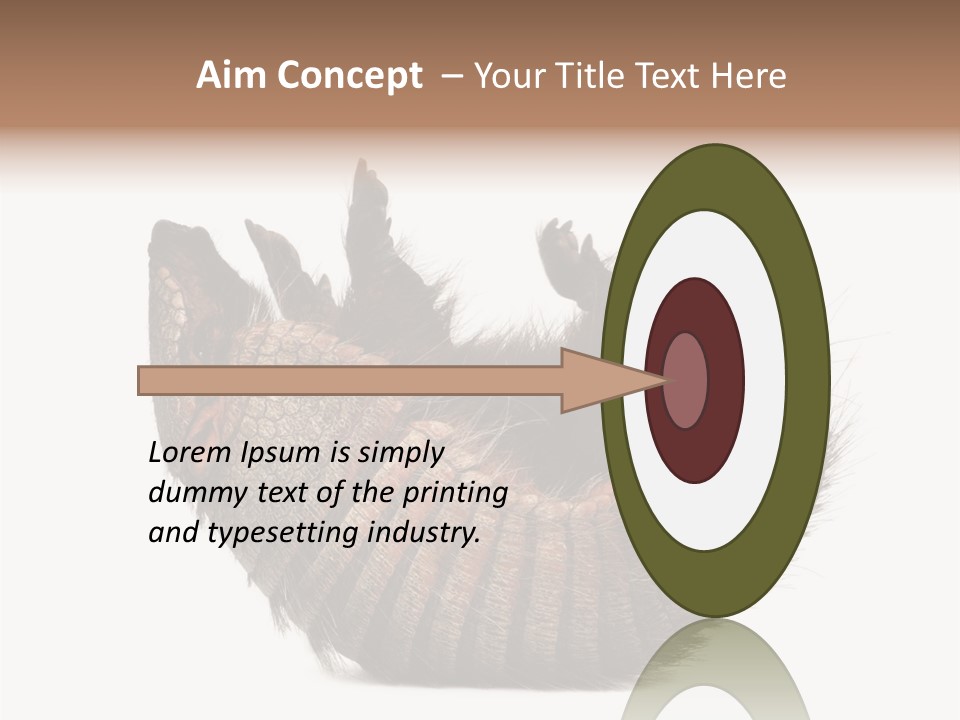 Species Isolated On White Tail PowerPoint Template