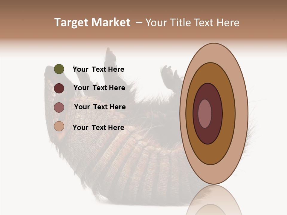 Species Isolated On White Tail PowerPoint Template