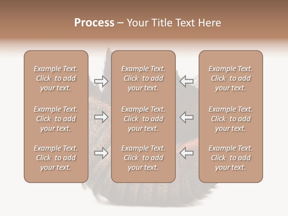 Species Isolated On White Tail PowerPoint Template