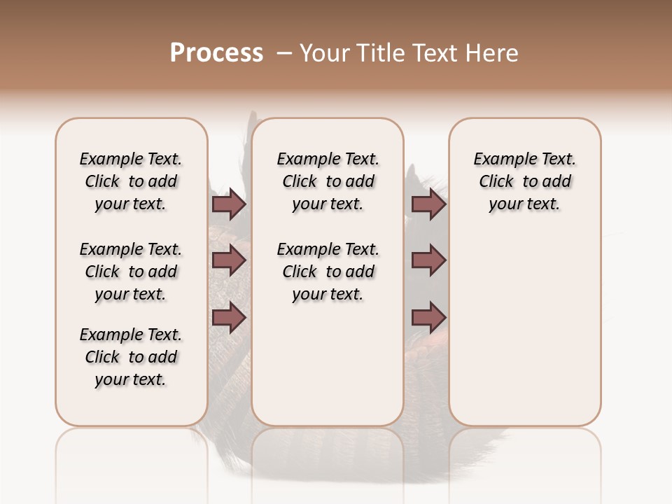 Species Isolated On White Tail PowerPoint Template