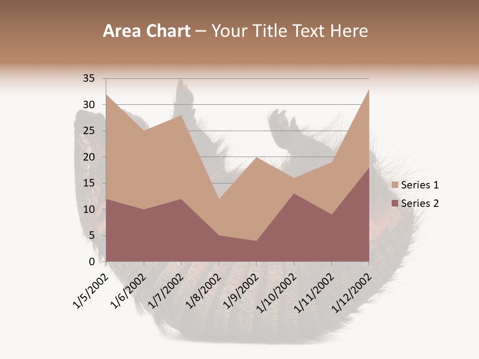 Species Isolated On White Tail PowerPoint Template