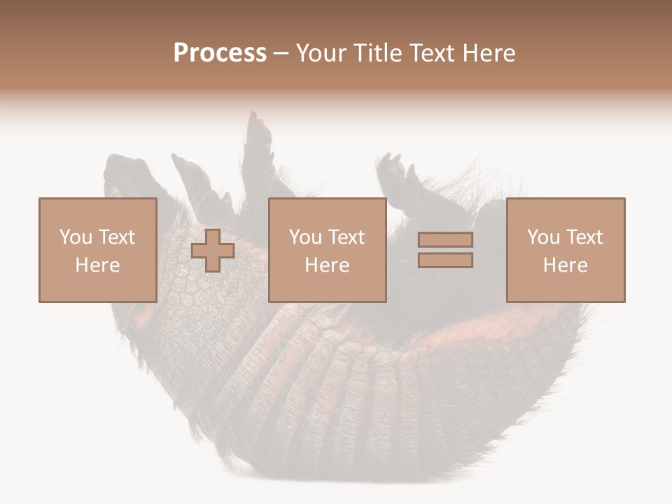 Species Isolated On White Tail PowerPoint Template