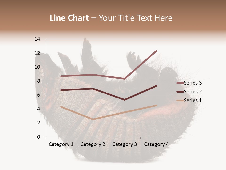 Species Isolated On White Tail PowerPoint Template