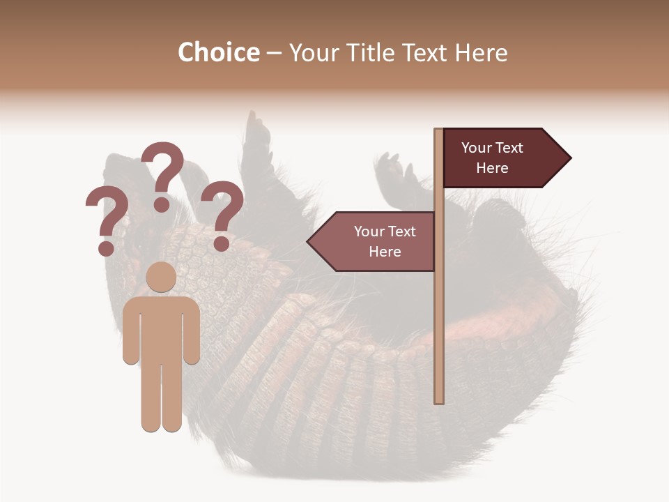 Species Isolated On White Tail PowerPoint Template