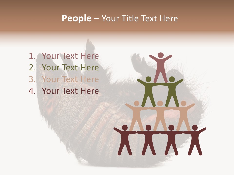 Species Isolated On White Tail PowerPoint Template