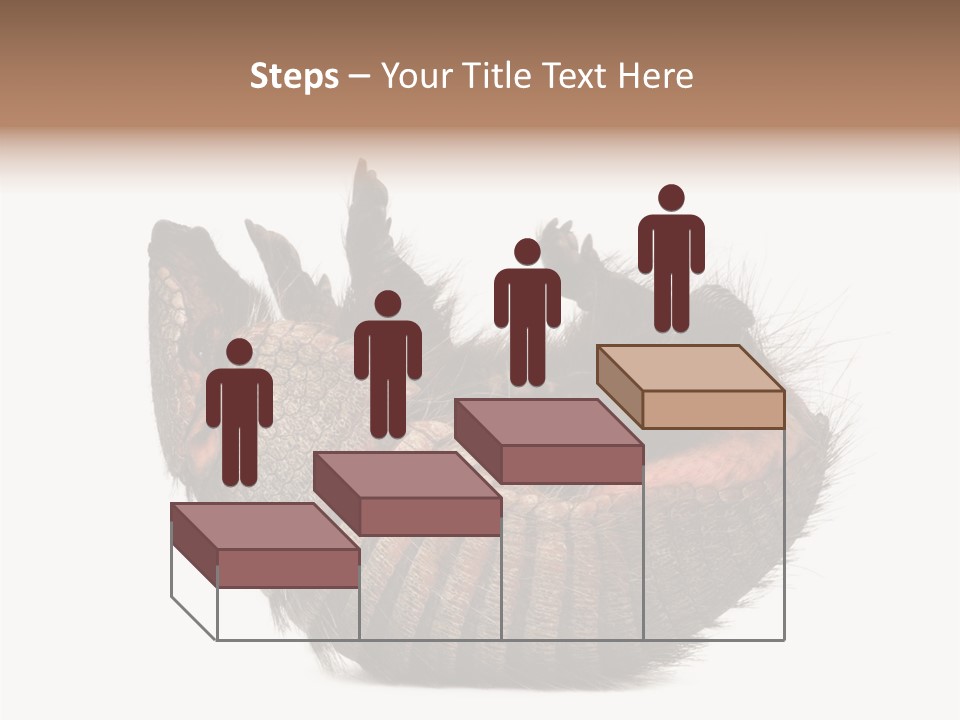 Species Isolated On White Tail PowerPoint Template