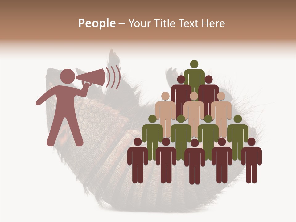 Species Isolated On White Tail PowerPoint Template