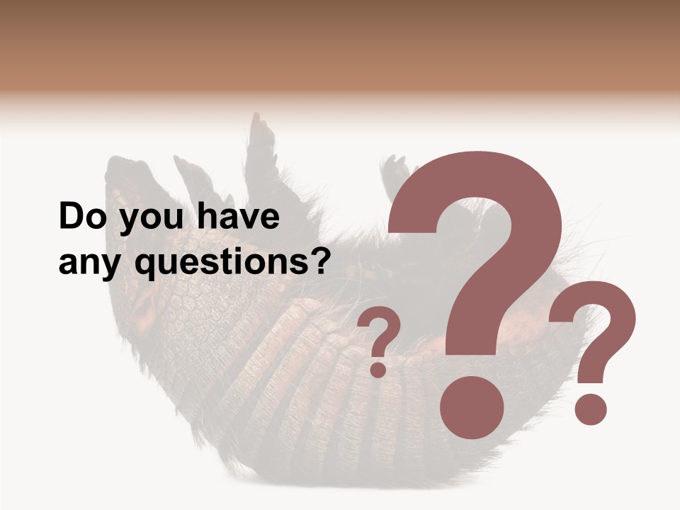 Species Isolated On White Tail PowerPoint Template