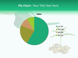 Stem Grow Cash PowerPoint Template