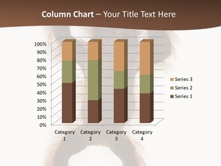 Brown Indoors Hairy PowerPoint Template