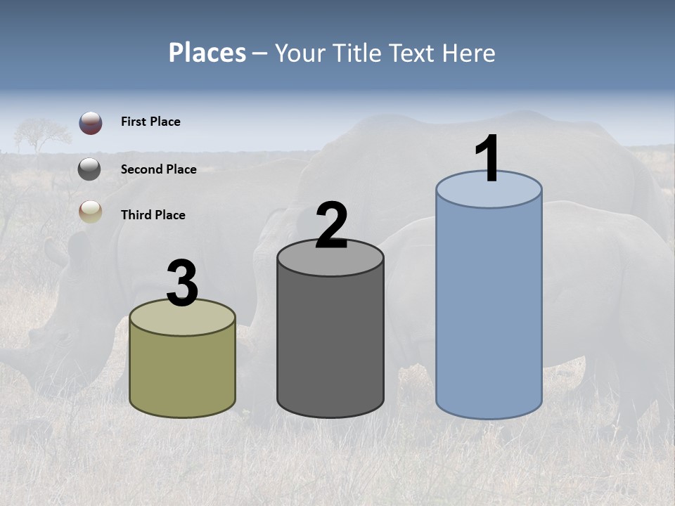 Outdoors Safari Walk PowerPoint Template