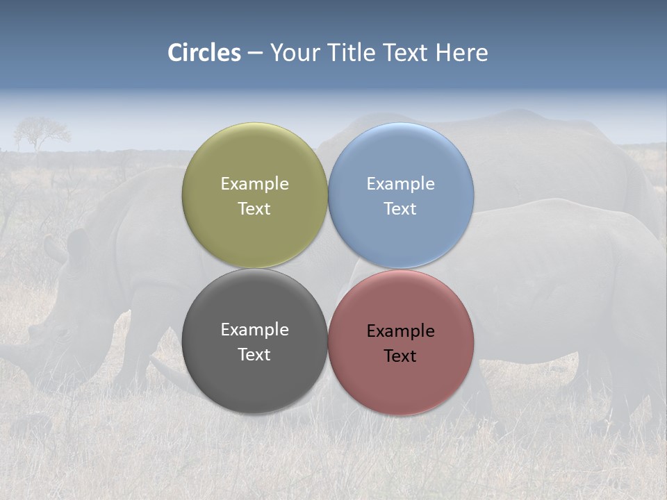 Outdoors Safari Walk PowerPoint Template