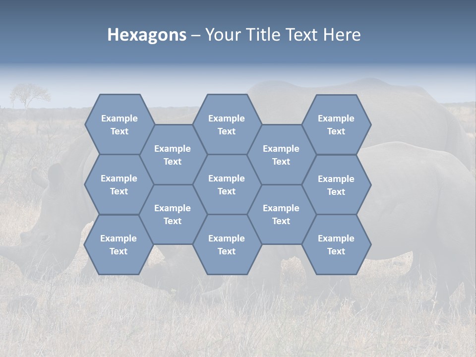 Outdoors Safari Walk PowerPoint Template