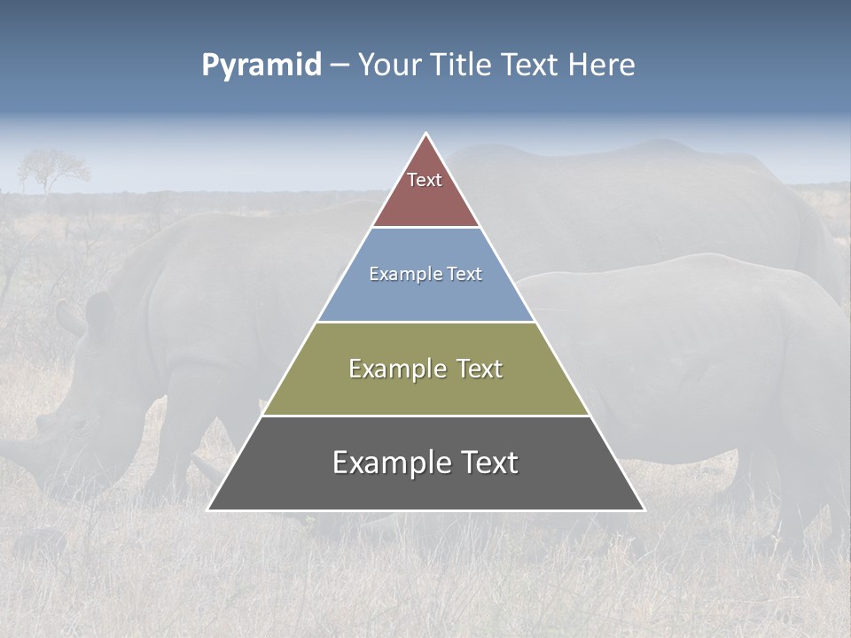 Outdoors Safari Walk PowerPoint Template