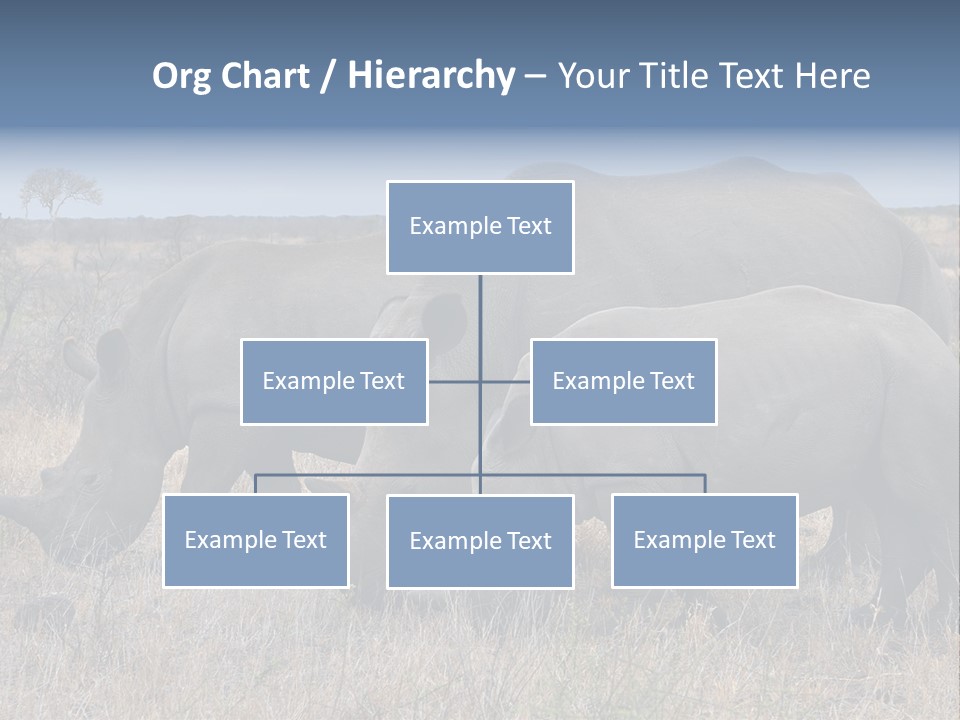 Outdoors Safari Walk PowerPoint Template