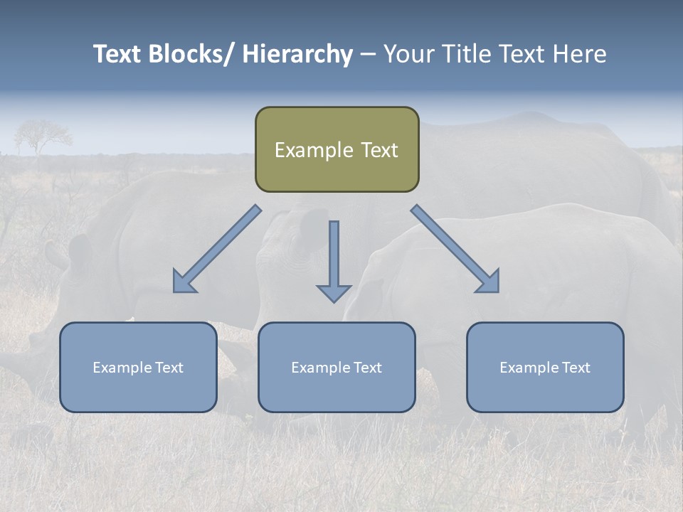 Outdoors Safari Walk PowerPoint Template