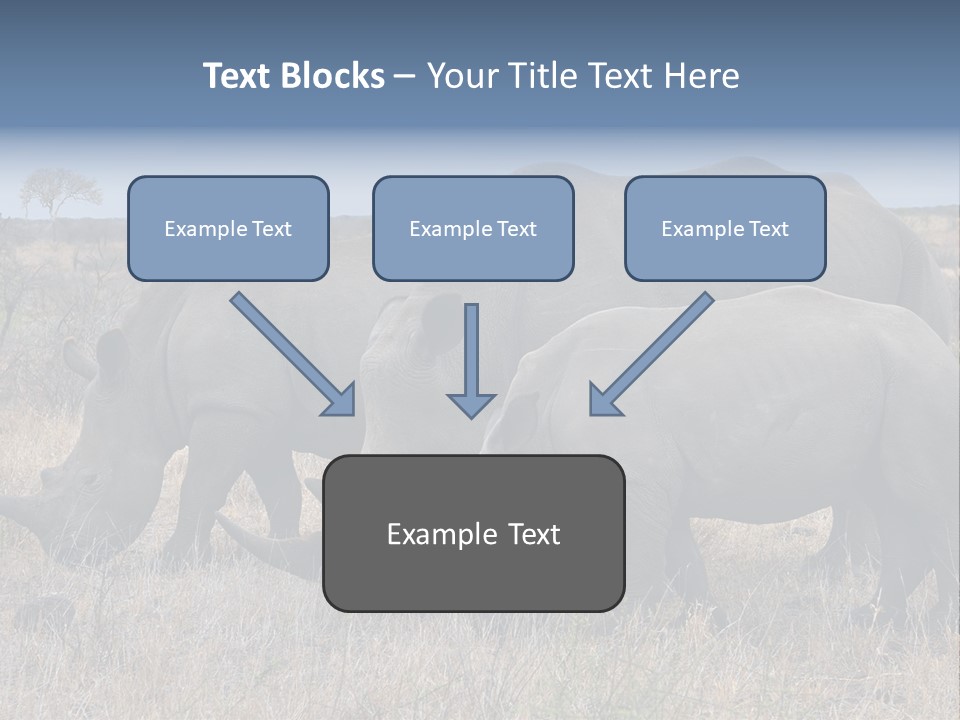 Outdoors Safari Walk PowerPoint Template