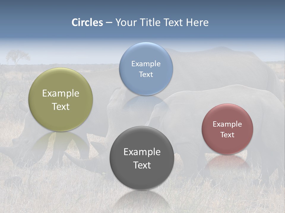 Outdoors Safari Walk PowerPoint Template