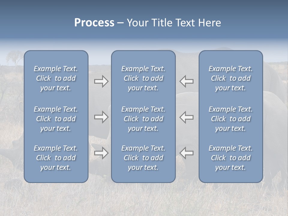 Outdoors Safari Walk PowerPoint Template