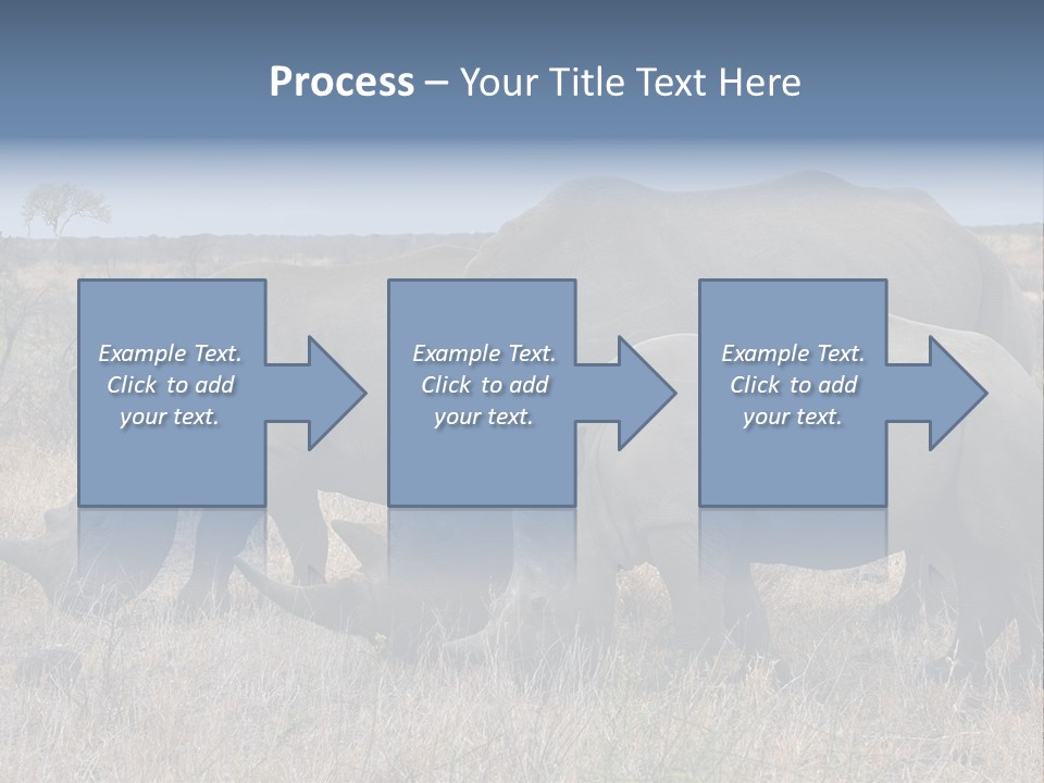 Outdoors Safari Walk PowerPoint Template