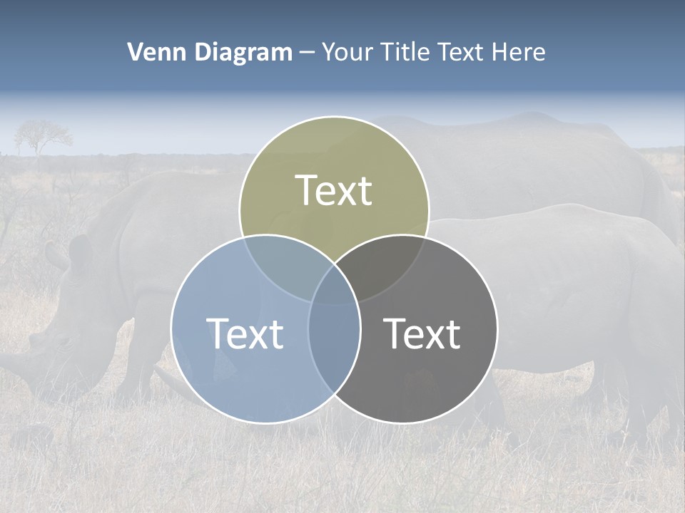 Outdoors Safari Walk PowerPoint Template