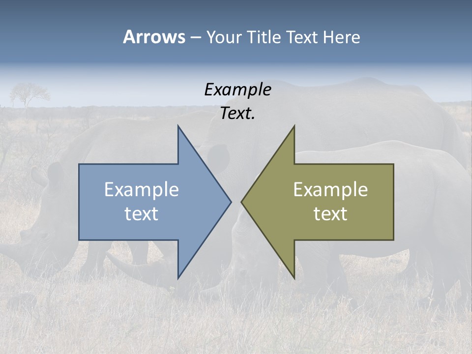 Outdoors Safari Walk PowerPoint Template