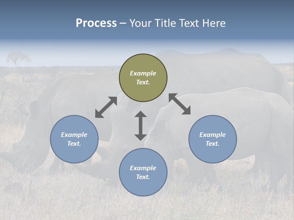 Outdoors Safari Walk PowerPoint Template