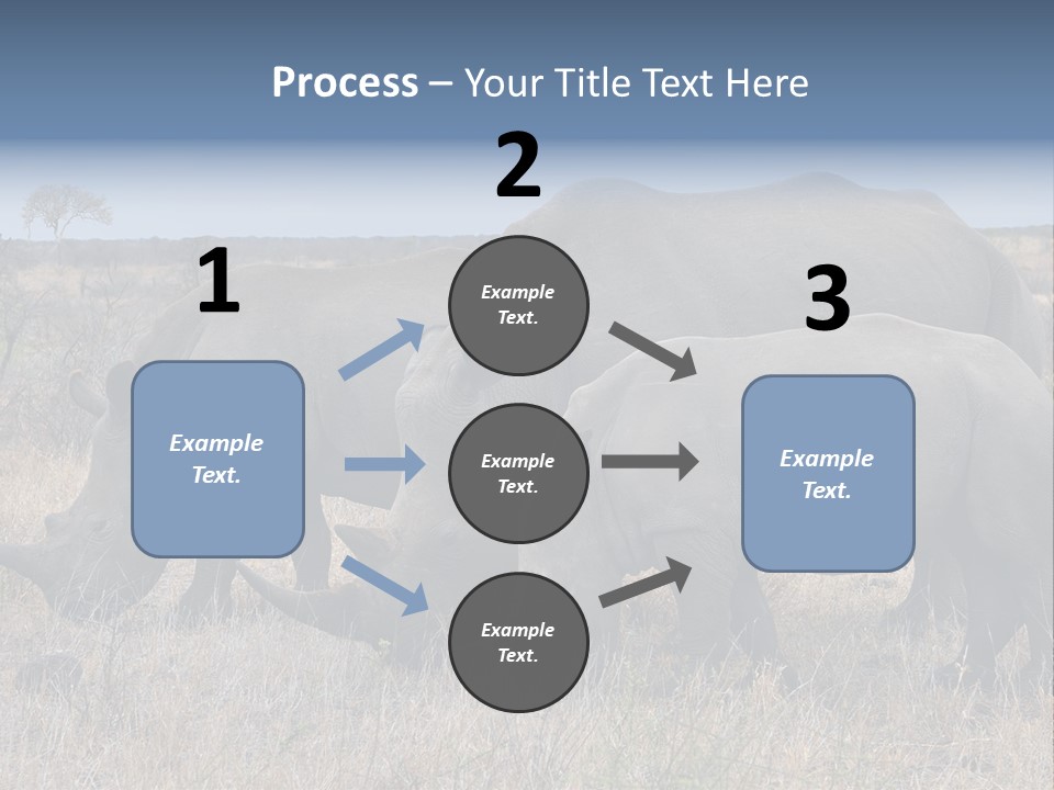Outdoors Safari Walk PowerPoint Template