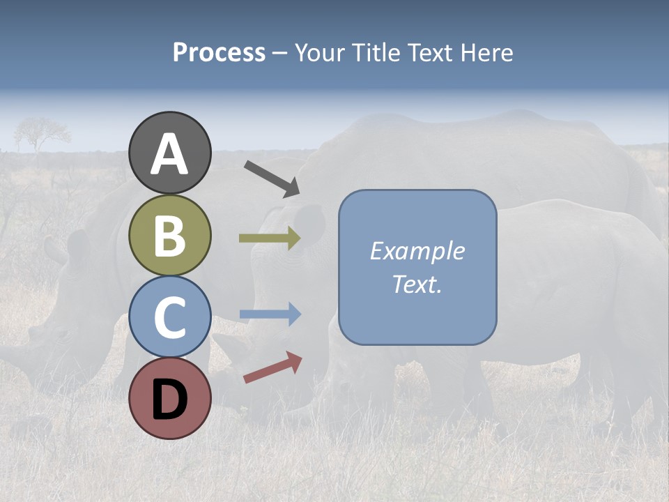 Outdoors Safari Walk PowerPoint Template