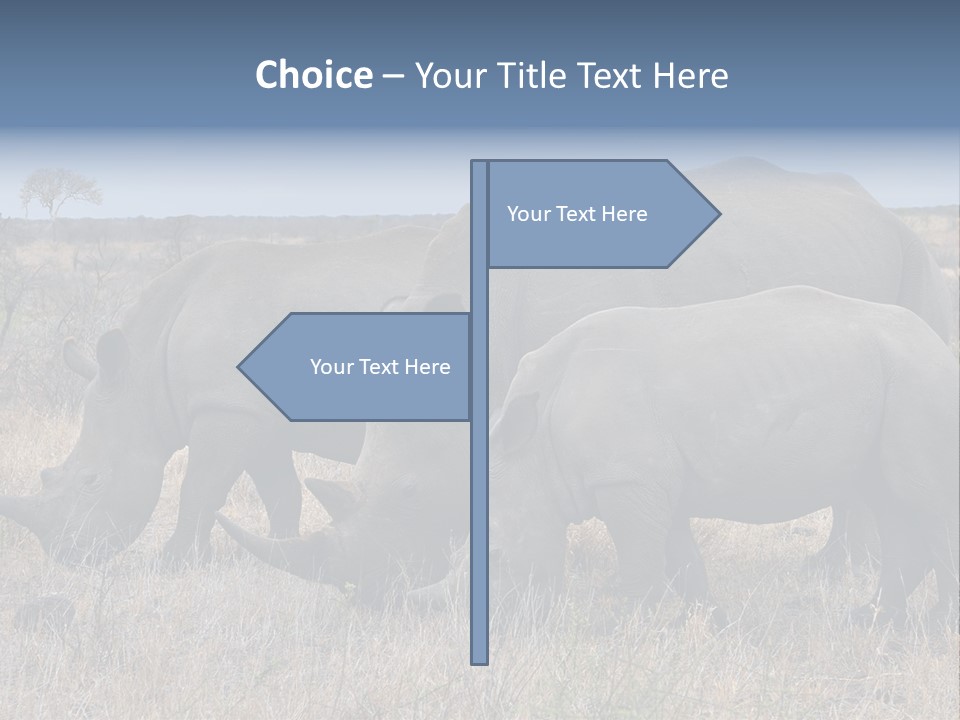 Outdoors Safari Walk PowerPoint Template