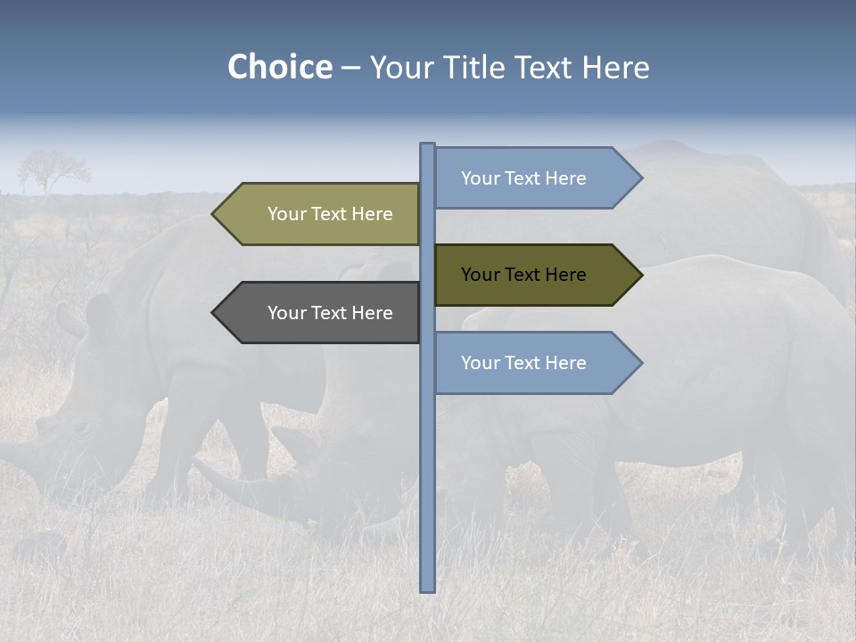 Outdoors Safari Walk PowerPoint Template