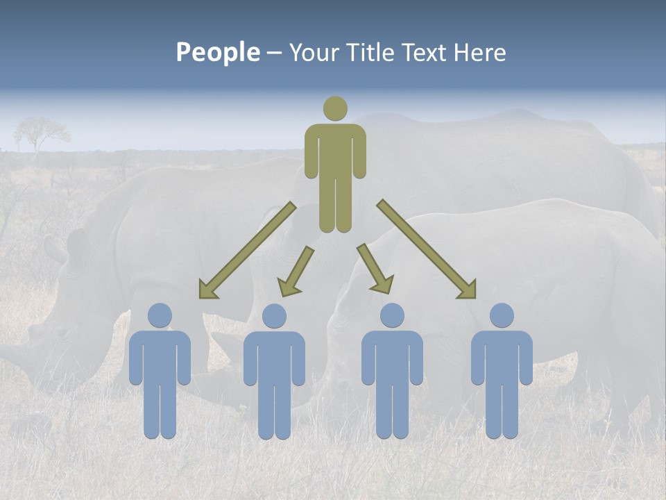 Outdoors Safari Walk PowerPoint Template